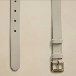 Banana Republic | Accessories | Bnwt Banana Republic  display picture 1